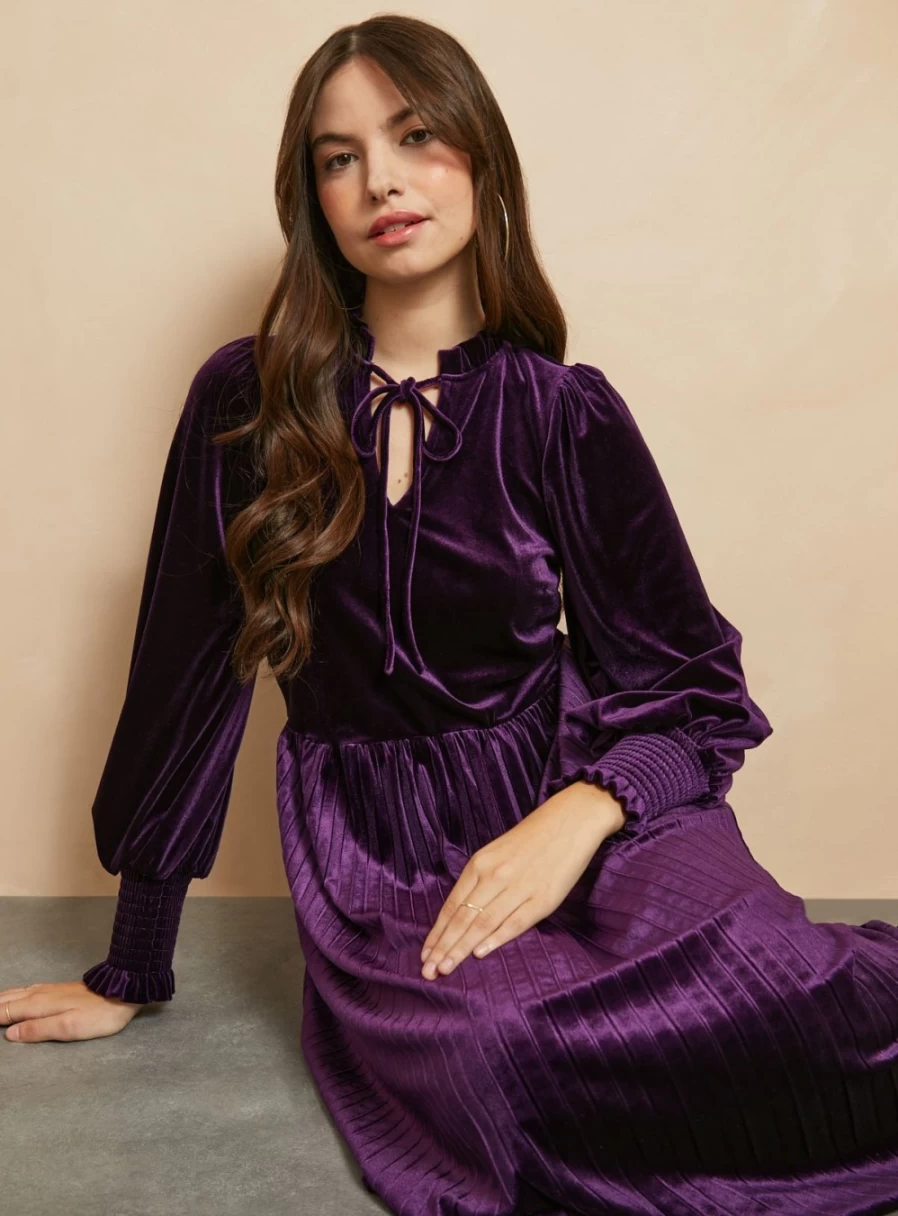 Everbelle Women's Purple Velvet High Neck Dress - Elegant Long Sleeve Formal Gown for Special Occasions