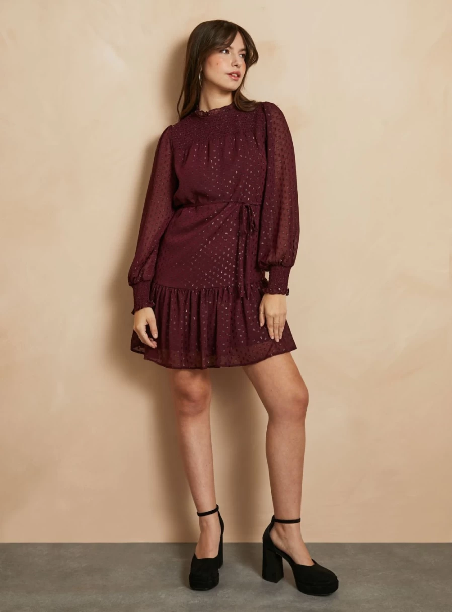 Everbelle Women's Burgundy High Neck Dobby Dress - Size 14 Elegant Party Wear