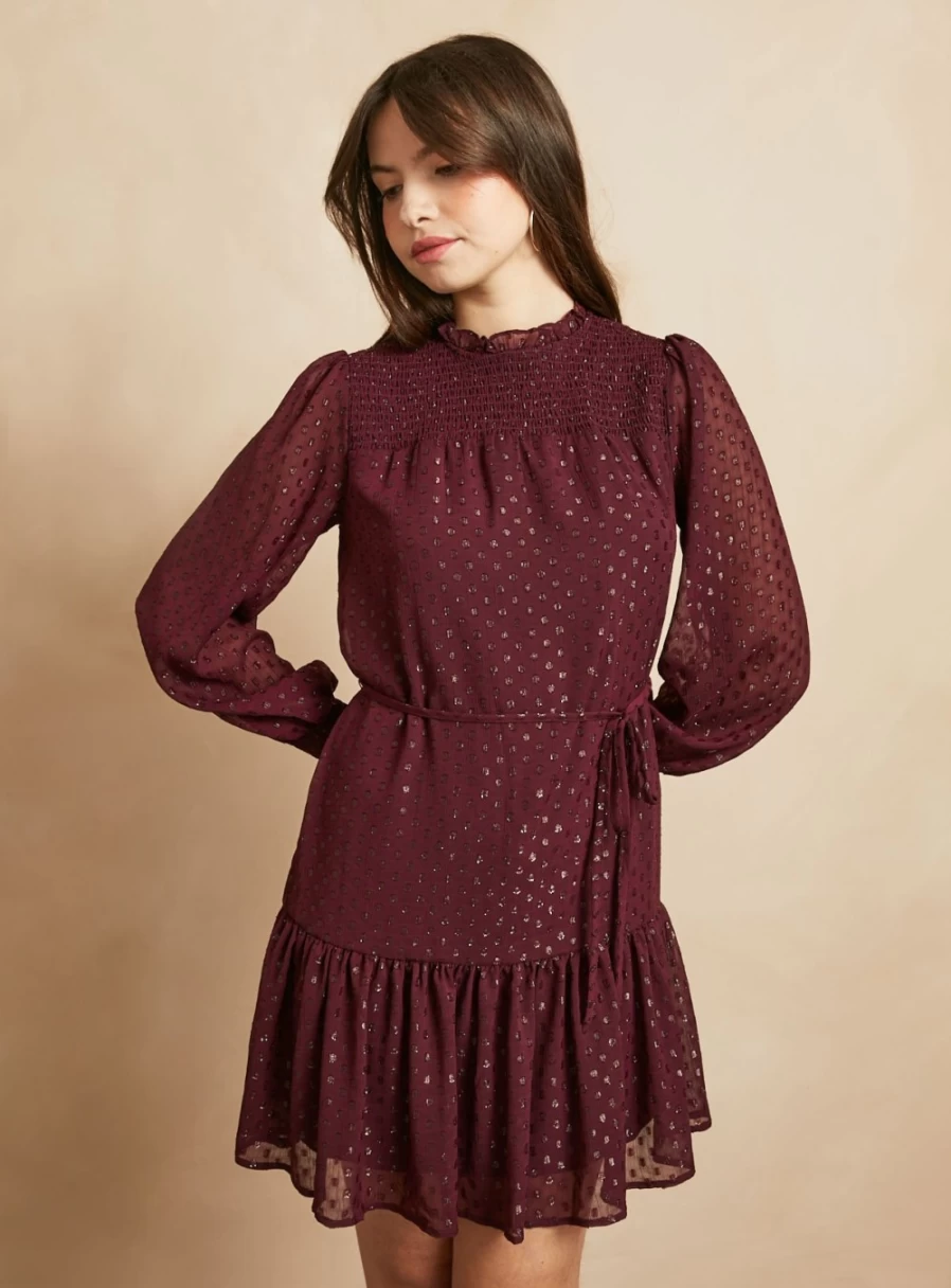 Everbelle Women's Burgundy High Neck Dobby Dress - Size 14 Elegant Party Wear